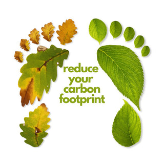 Reducing Your Skincare Carbon Footprint: What You Need to Know